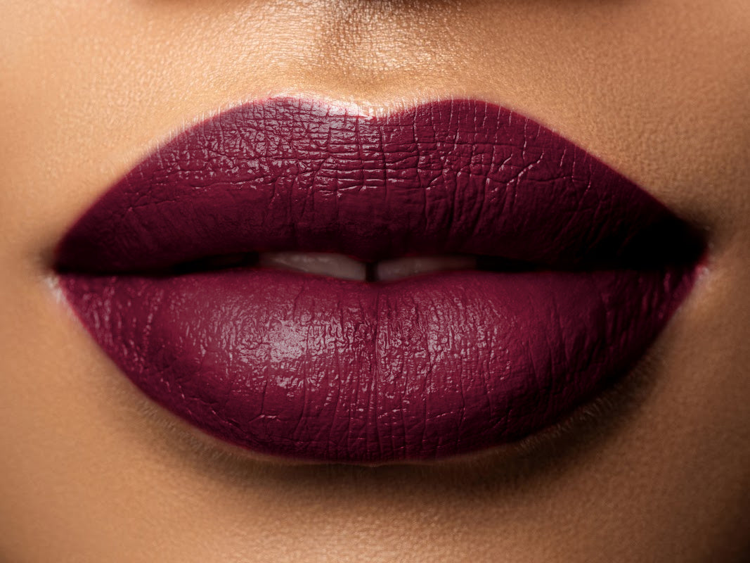 Deep brownish-plum lipstick lip swatche from the Perfect Pout Hydrating Lipstick Duo Hue Noir